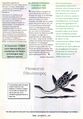 Thumbnail for version as of 08:30, 11 February 2025